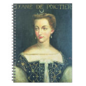 Diane de Poitiers (olie op canvas) Notitieboek (Voorkant)