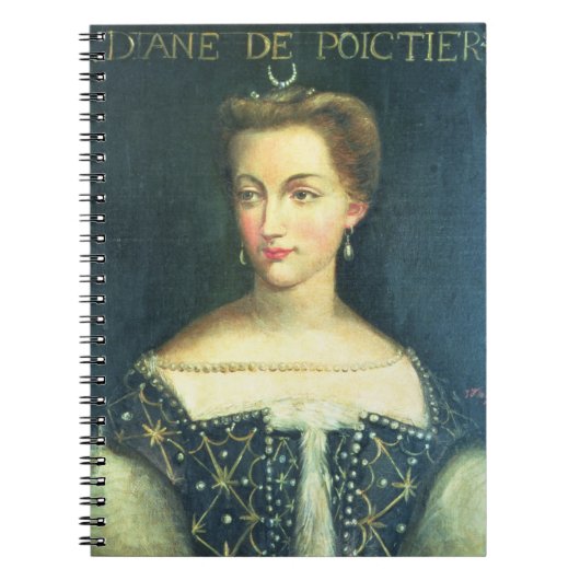 Diane de Poitiers (olie op canvas) Notitieboek (Voorkant)