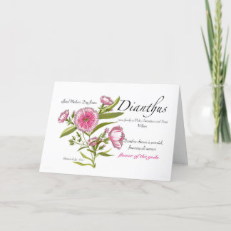 Dianthus Blank Kaart