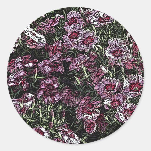 DIANTHUS BLOEMEN RONDE STICKER (Voorkant)