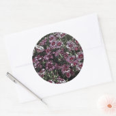 DIANTHUS BLOEMEN RONDE STICKER (Envelop)
