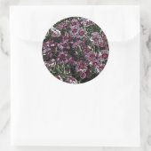 DIANTHUS BLOEMEN RONDE STICKER (Tas)