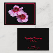 Dianthus Blossom ATC Visitekaartje (Voorkant / Achterkant)