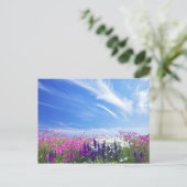 Dianthus en Salvia Bloemen Briefkaart (Staand voorkant)