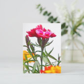 Dianthus Flower Briefkaart (Staand voorkant)