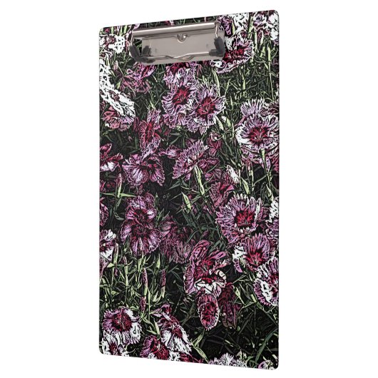 DIANTHUS FLOWERS KLEMBORD (Links)