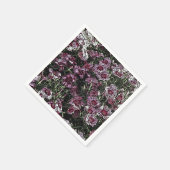 DIANTHUS FLOWERS SERVETTEN (Hoek)