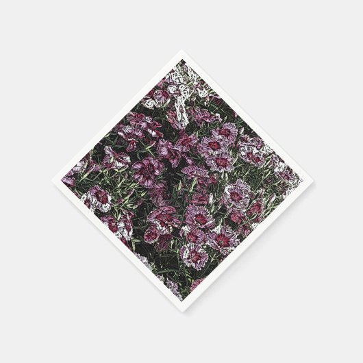 DIANTHUS FLOWERS SERVETTEN (Hoek)