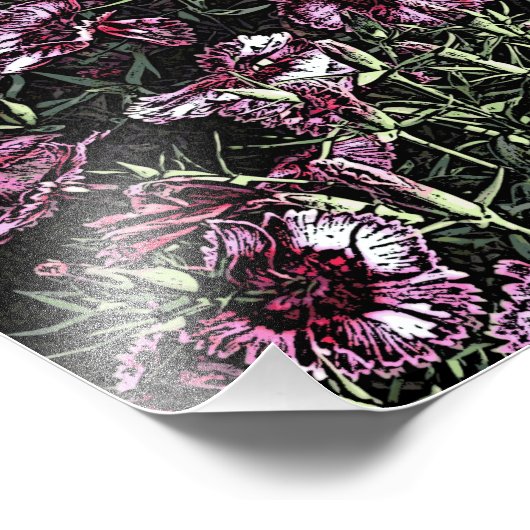 DIANTHUS FOTO AFDRUK (Hoek)