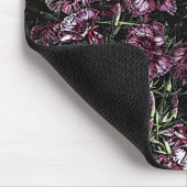 DIANTHUS MUISMAT (Hoek)