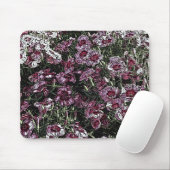 DIANTHUS MUISMAT (Met muis)