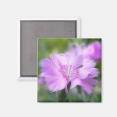 Dianthus Plumarius Flower Magneet (Voorkant / Achterkant)