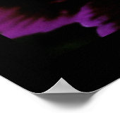 dianthus poster (Hoek)