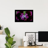 dianthus poster (Thuiskantoor)