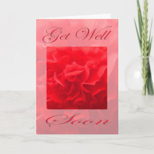 Dianthus Red Flower krijgt snel weer Kaart