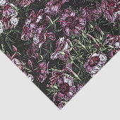 DIANTHUS TISSUEPAPIER (Detail)