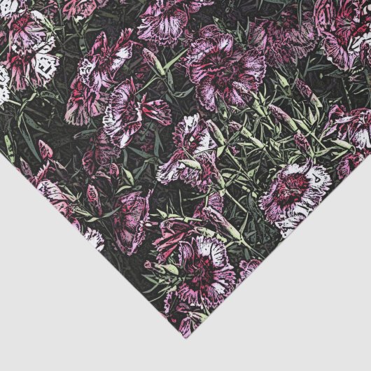 DIANTHUS TISSUEPAPIER (Detail)