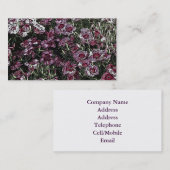 DIANTHUS VISITEKAARTJE (Voorkant / Achterkant)