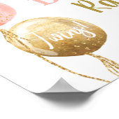 Diaper Raffle pink twin girls sign Poster (Hoek)