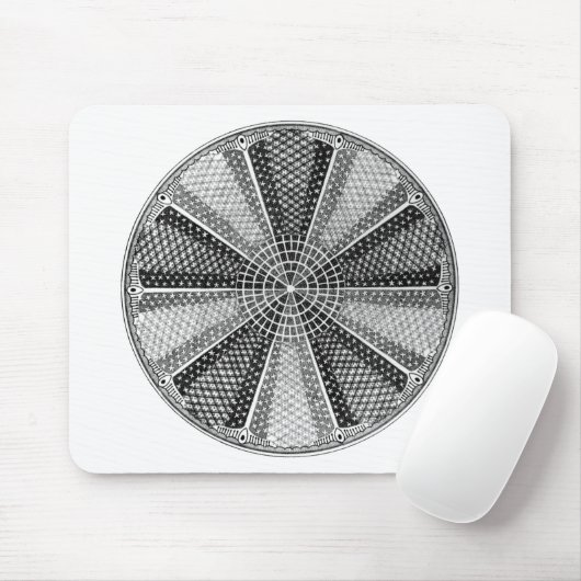 Diatom 13 Ernst Haeckel Fine Art Muismat (Met muis)