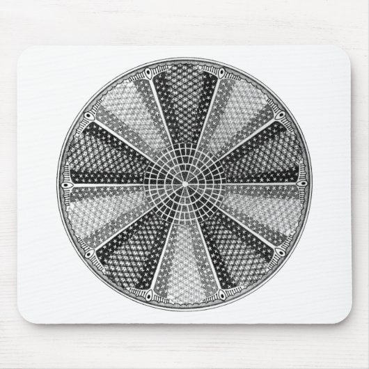 Diatom 13 Ernst Haeckel Fine Art Muismat (Voorkant)