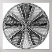 Diatom 13 Ernst Haeckel Fine Art Poster (Voorkant)