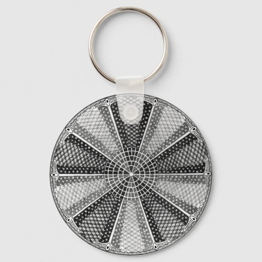 Diatom 13 Ernst Haeckel Fine Art Sleutelhanger (Voorkant)