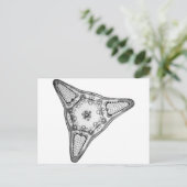 Diatom Briefkaart (Staand voorkant)