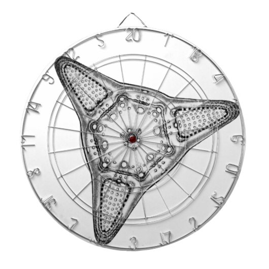 Diatom Dartbord (Voorkant)
