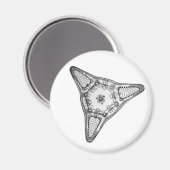 Diatom Magneet (Voorkant / Achterkant)