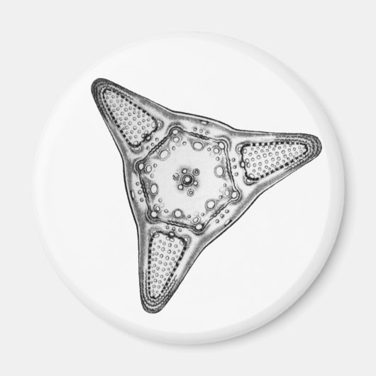 Diatom Magneet (Voorkant)