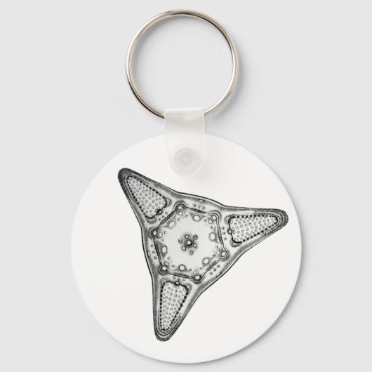 Diatom Sleutelhanger (Voorkant)