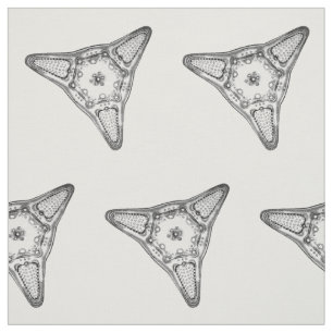 Diatom Stof