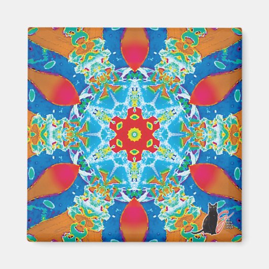 Diatome Kaleidoscope Magnet (Voorkant)