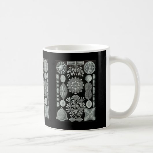 Diatomen Koffiemok (Rechts)