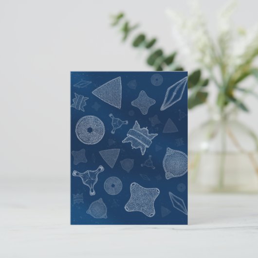 Diatomen - microscopisch zee briefkaart (Staand voorkant)