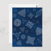 Diatomen - microscopisch zee briefkaart (Voorkant / Achterkant)