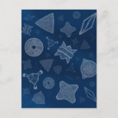 Diatomen - microscopisch zee briefkaart (Voorkant)