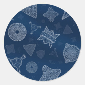 Diatomen - microscopisch zee leven ronde sticker