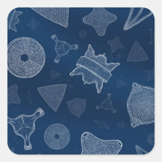 Diatomen - microscopisch zee leven vierkante sticker