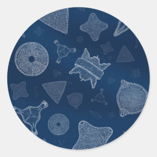 Diatomen - microscopisch zee ronde sticker