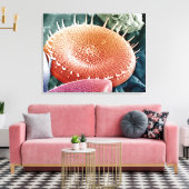 Diatoom, een eencellige alg. canvas afdruk (Insitu (Woonkamer))