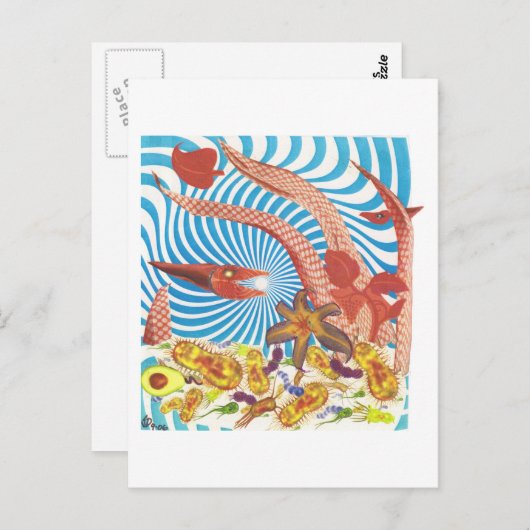 Dibble_Art29_Orange_Octopus Briefkaart (Voorkant / Achterkant)