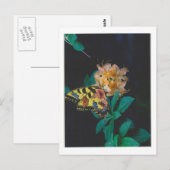 Dibble_Artworks_124_Butterfly Briefkaart (Voorkant / Achterkant)
