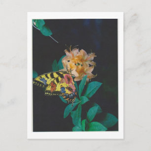 Dibble_Artworks_124_Butterfly Briefkaart