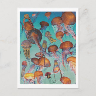 Dibble_Artworks_126_Jellies Briefkaart