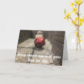 Dice jerks zijn een sympathiekaart kaart (Gele Bloem)