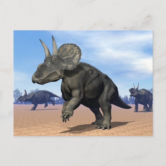 Diceratops/nedoceratops dinosaurussen in de woesti briefkaart (Voorkant)