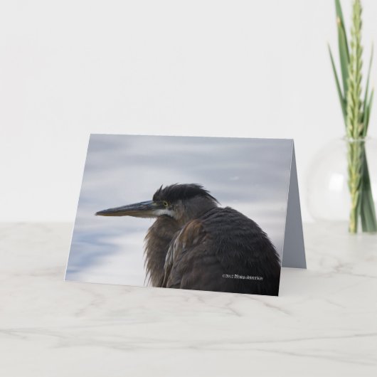 Dicht bij een reiger kaart (Voorkant)