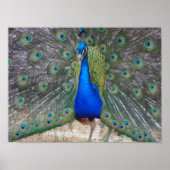 dicht bij elkaar poster (Voorkant)